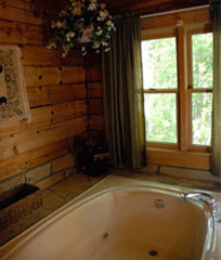 Main Level Jacuzzi